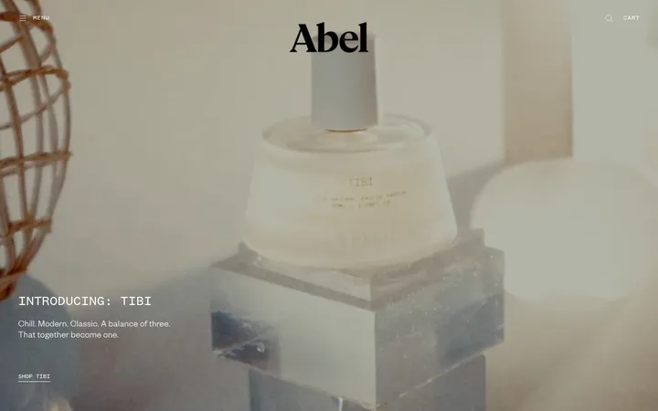 Abel 首屏截图