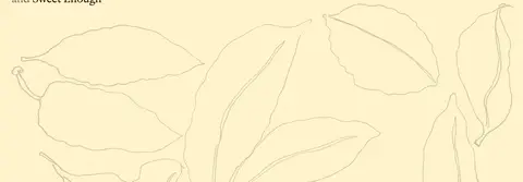 插画留白