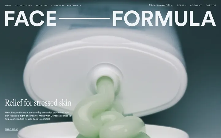 Face Formula 首屏截图