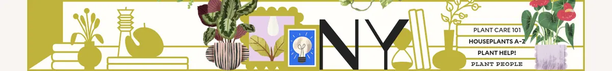 植物字样三