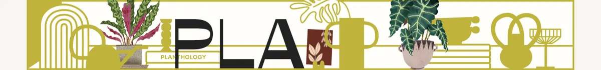 植物字样四