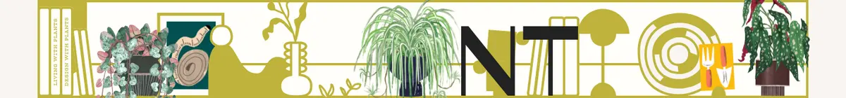 植物字样五