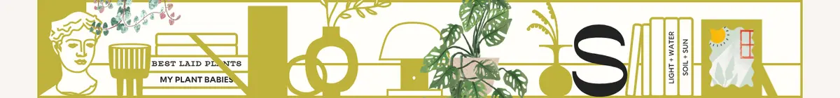 植物字样六