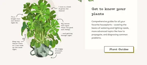 植物指南