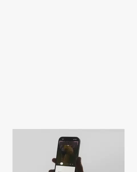 品牌项目