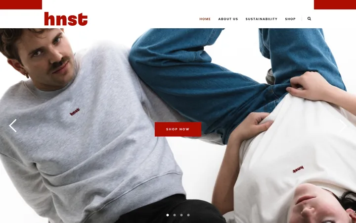 HNST 首屏截图