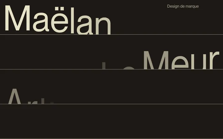 Maëlan Le Meur 首屏截图