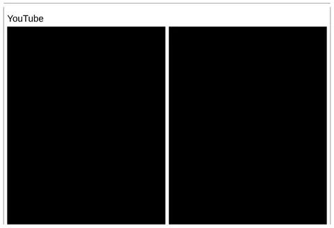 YouTube 项目