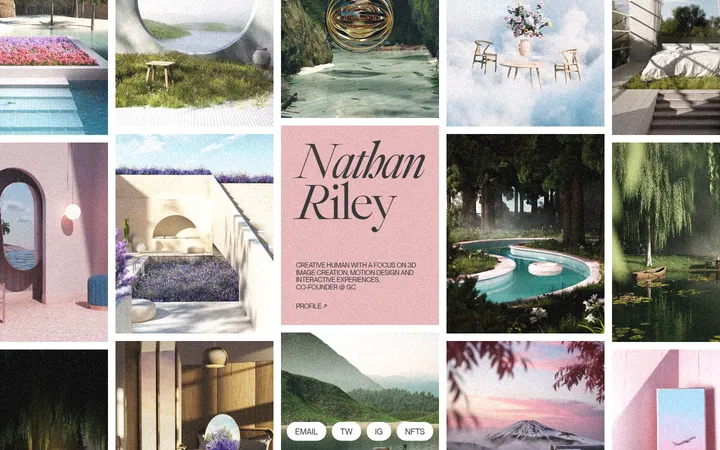 Nathan Riley 首屏截图