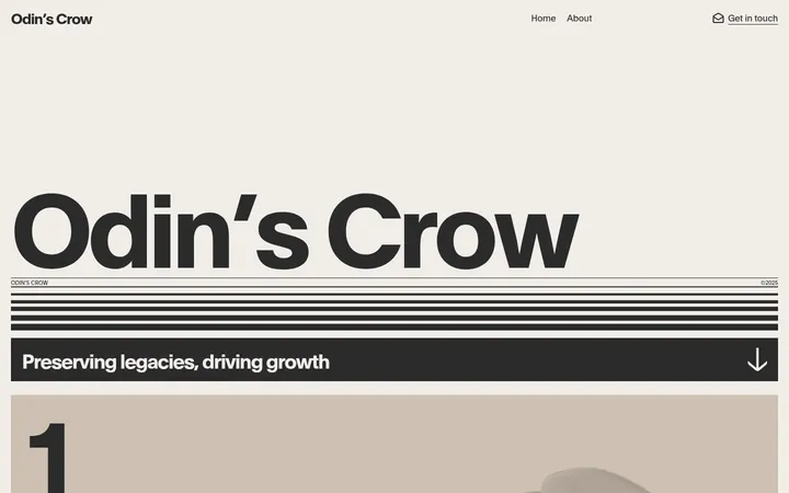 Odin's Crow 首屏截图
