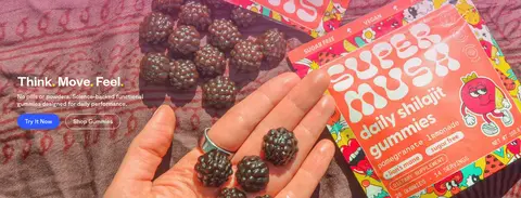 品牌主视觉