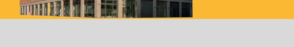 项目主张