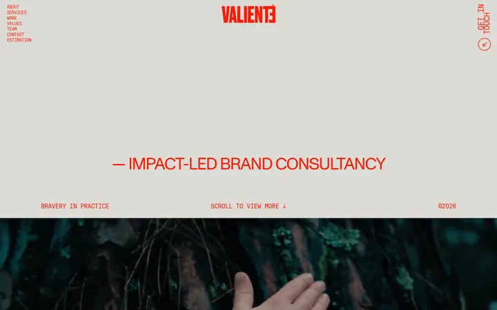 VALIENTE BRANDS 首屏截图
