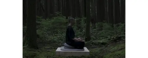 森林冥想影像