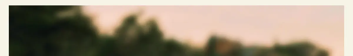 用户评价